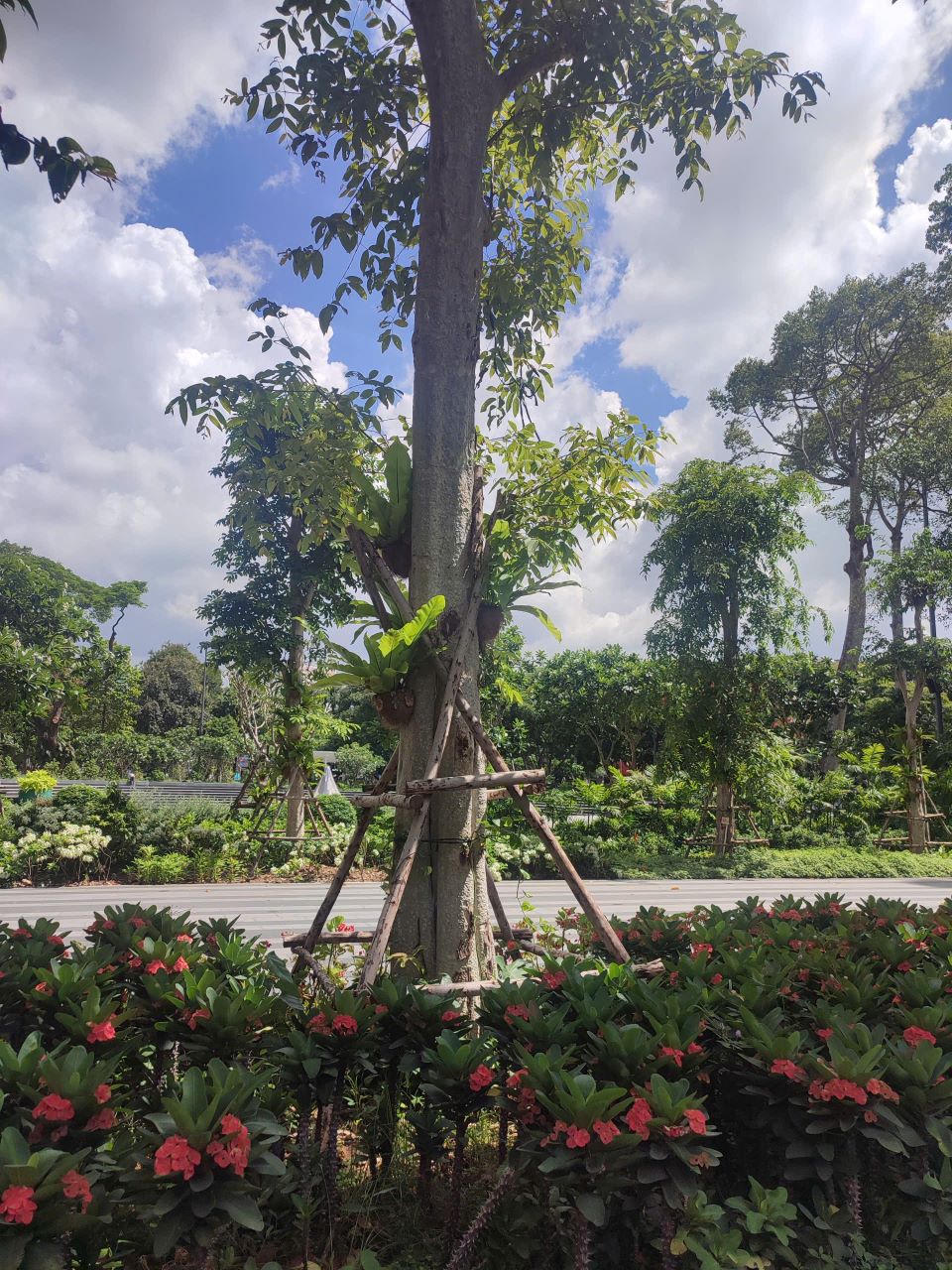 Bán đất Đường Hùng Vương Quận 5