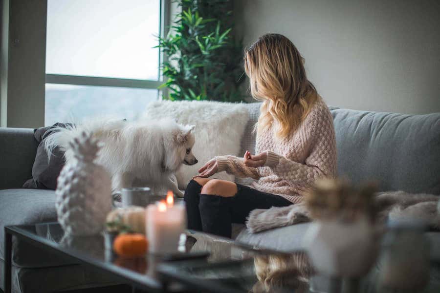 Bán nhà đường Hoa Sữa quận Phú Nhuận