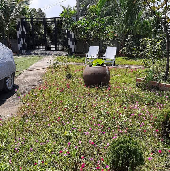 Bán nhà vườn đường Bình Mỹ huyện Củ Chi