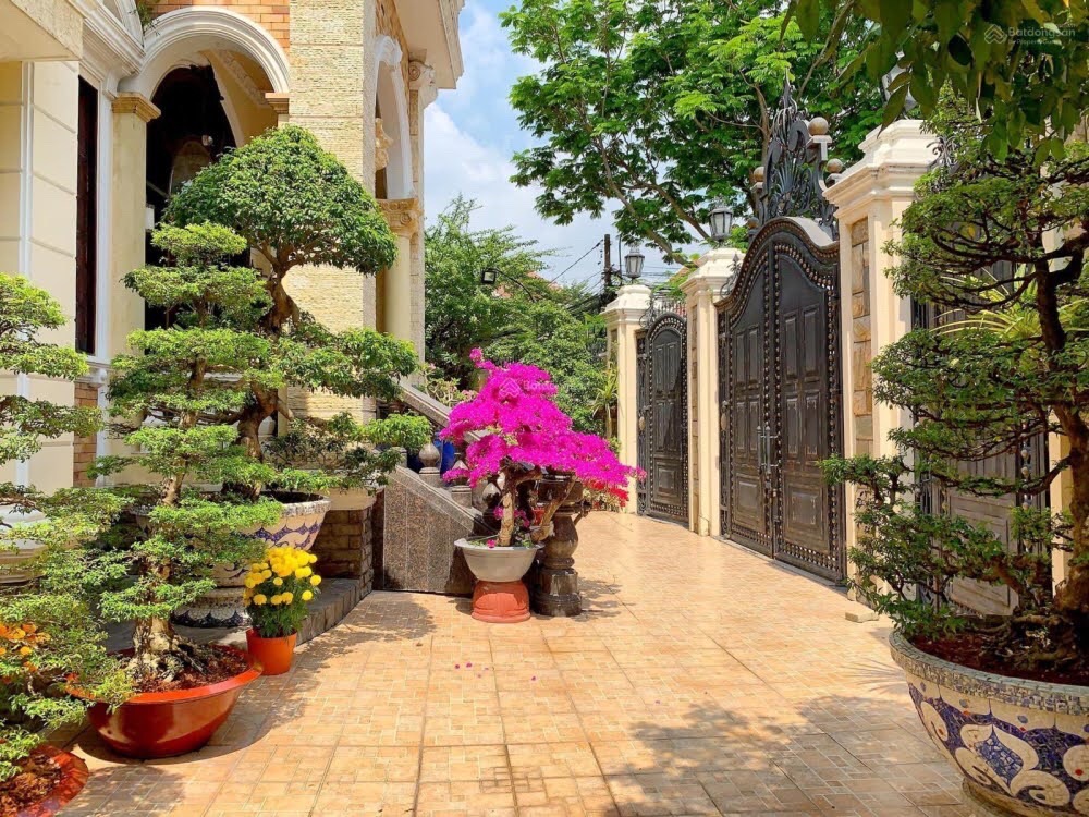 Cho thuê biệt thự 204 Nguyen Van Huong Thành phố Thủ Đức